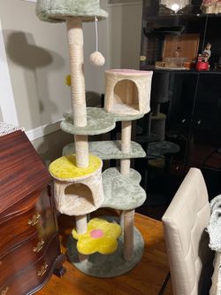Cat Climbing Tower