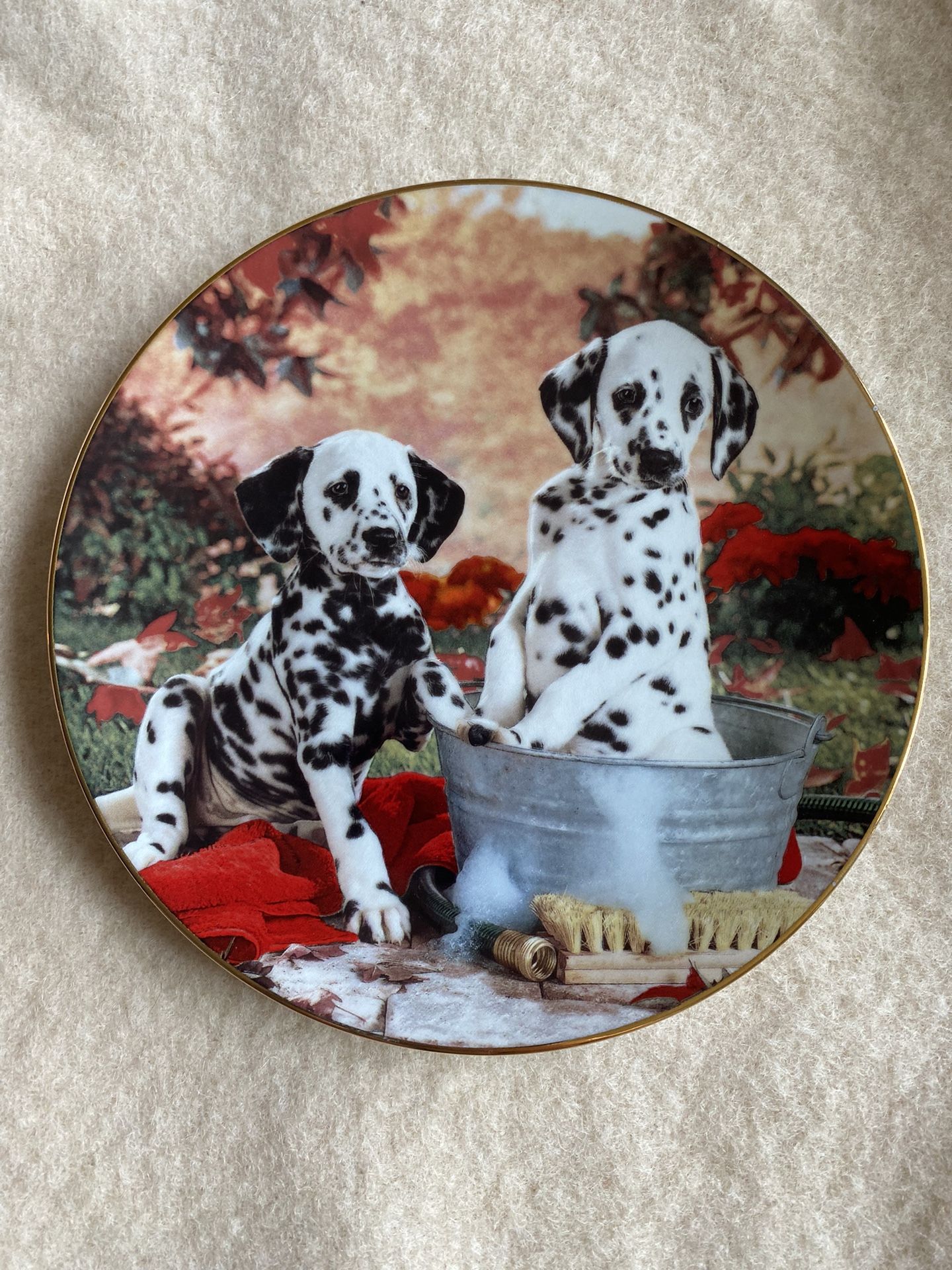 Plate The Hamilton Collection «You Missed a Spot» 1995