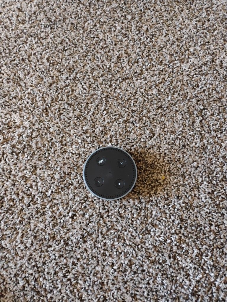 Alexa Ask Anything To....