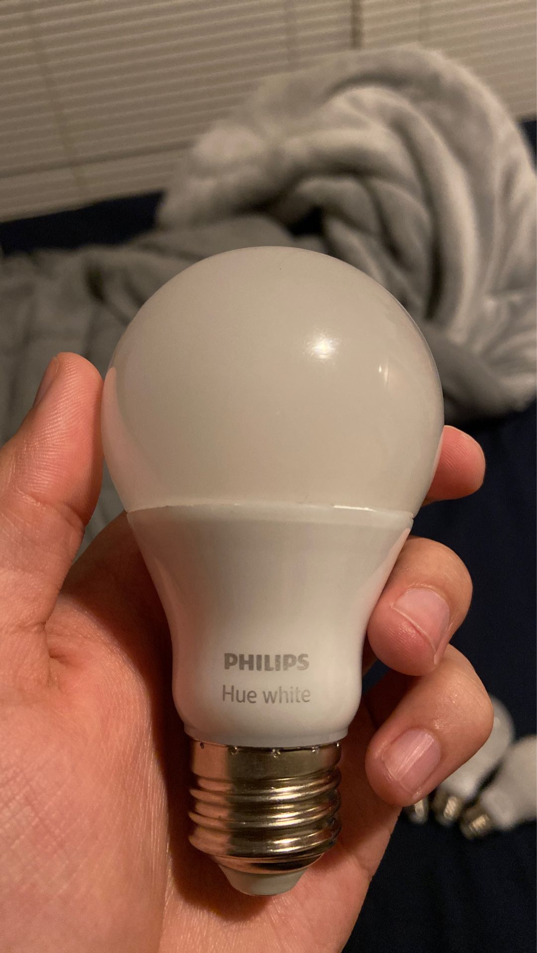 Philips Hue white light bulbs