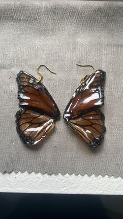 Real Butterfly Wing Earrings