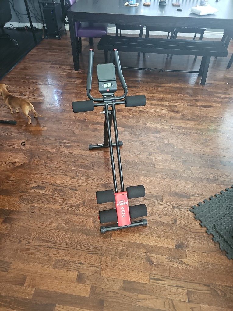 flybird exercise machine