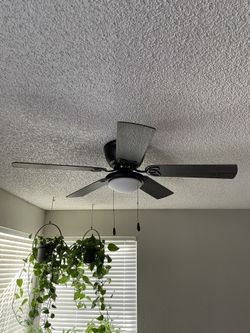 Ceiling Fan