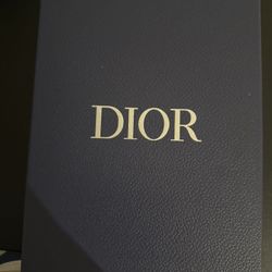 Dior Converse 