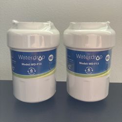 2 Brand New Water Filters for GE Fridge (WD-F13)