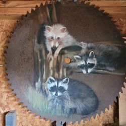 Raccoon Saw Blade
