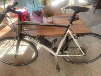 Giant XL Urban Bike