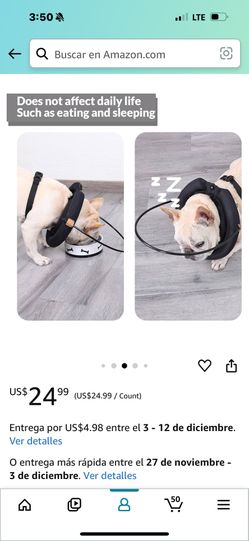 Collar For Dogs Blind