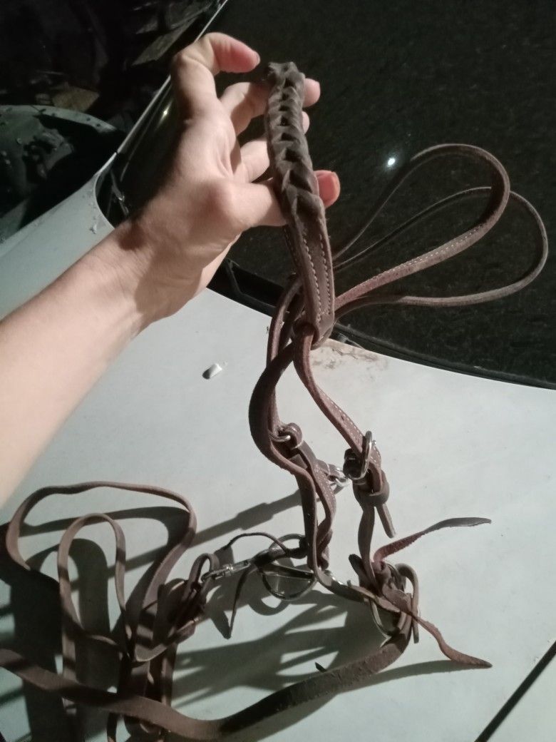 Designer Leather Bridle With Bit And Reins  