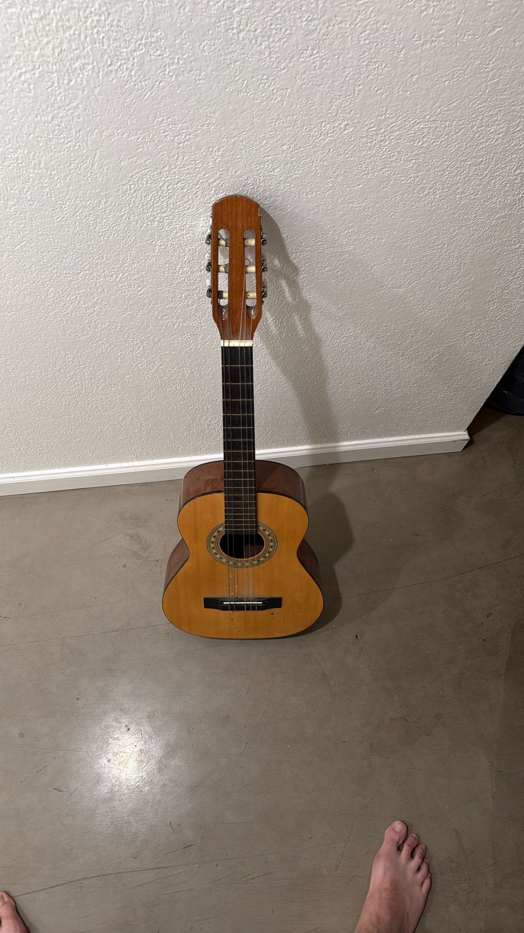 Acoustic Guitar 