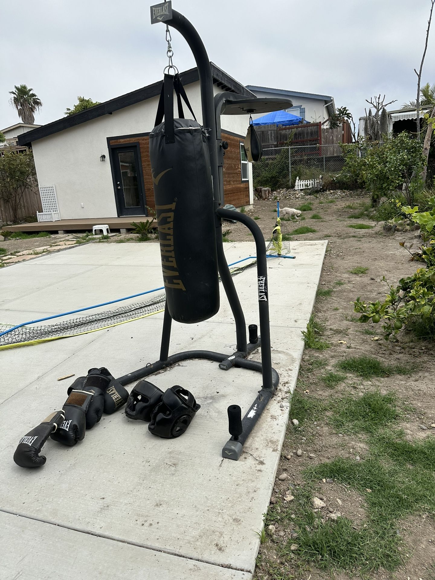 Punching Bag With Speed Bag And Stand