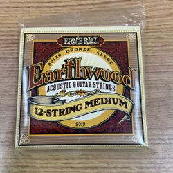 ERNIE BALL EARTHWOOD ACOUSTIC GUITAR STRING 12-STRING MEDIUM.