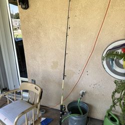 Fishing Rod And Reel