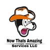 Now Thats Amazing Services LLC