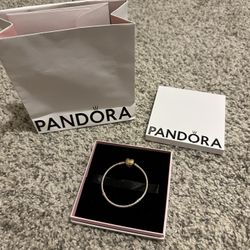 Brand New Pandora bracelet 