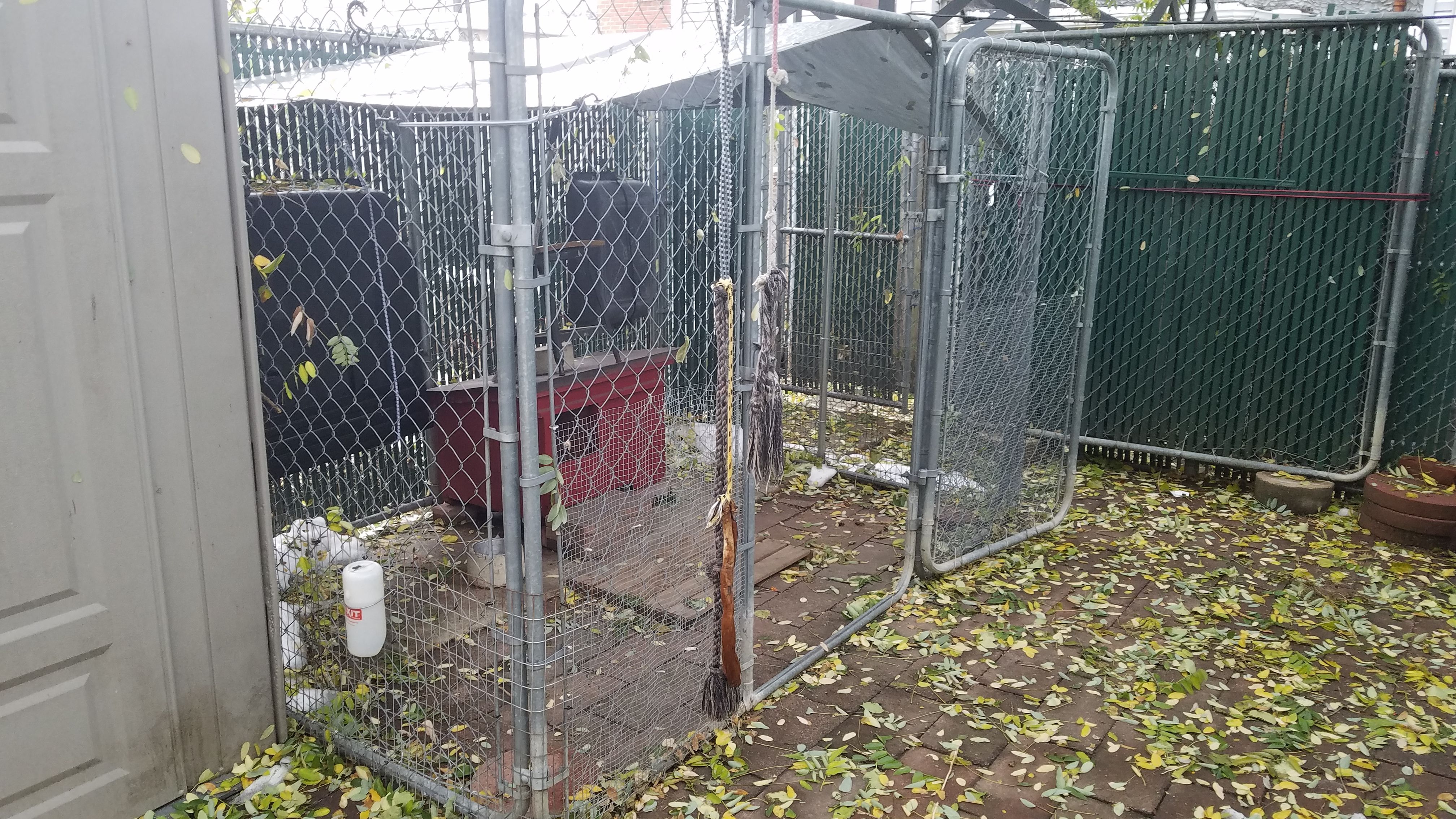 Kennel panels 6'x6' (8)