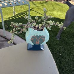 SMALL POT W/SUCCULENT