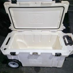 Pelican Cooler