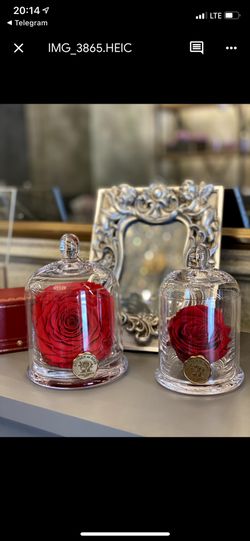 Elegant Glass Domes for Display & Decor