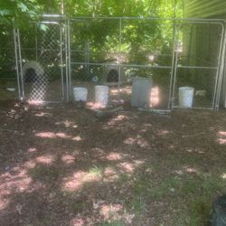 Dog Kennels 