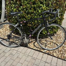 Specialized Racing Bike