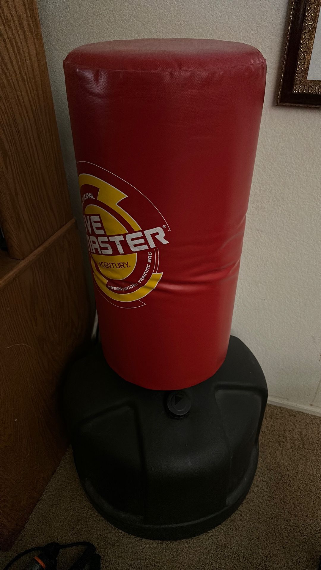 Standing Punching Bag