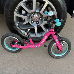 Toddler Guardian Balance Bike