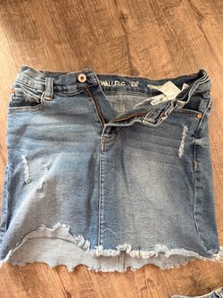 Wallflower skirt