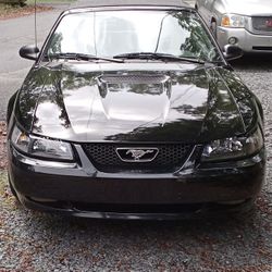 2000 Ford Mustang