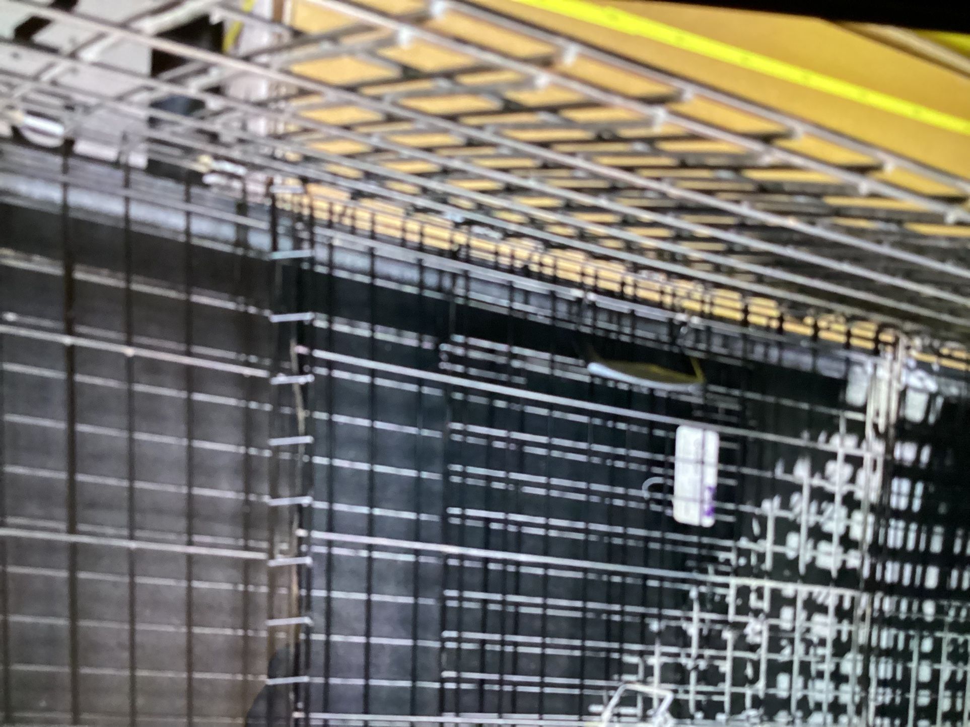 Large Metal Cage For Your Pet To Run Loose Asking $120. Foldable
