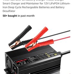 Lifepo4 Battery Charger