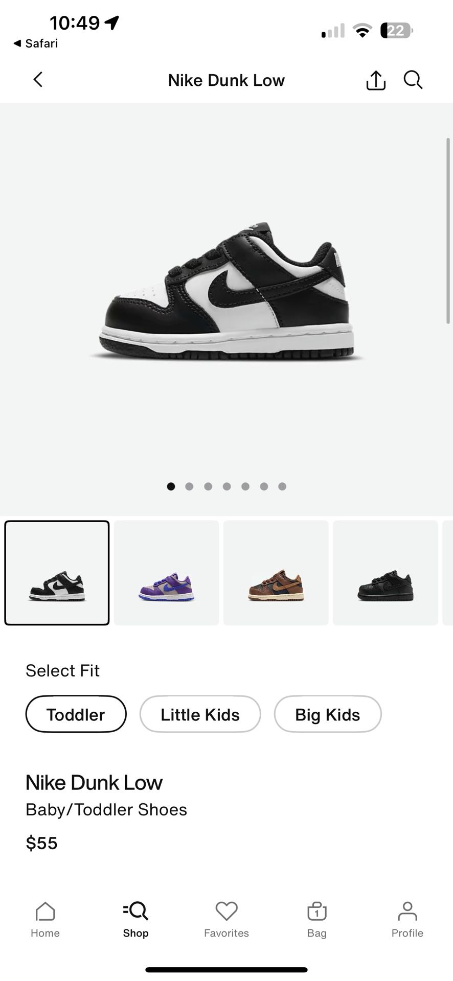 New Kids Nike Dunks