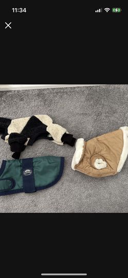 Dog Coats Small
