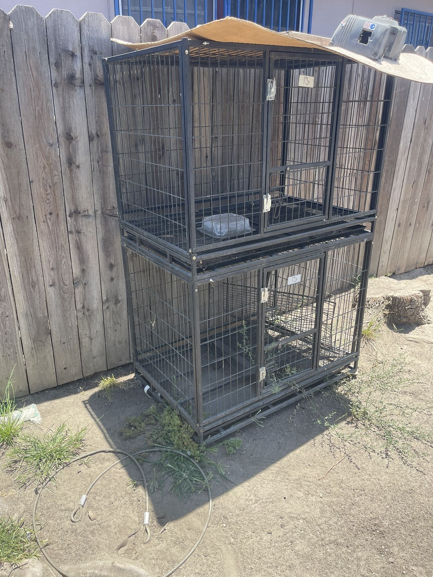 dog kennel