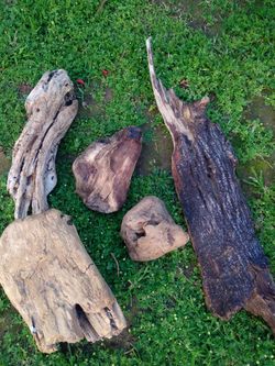 5 Pieces Of Natural Driftwood For Aquariums Terrariums Decor 
