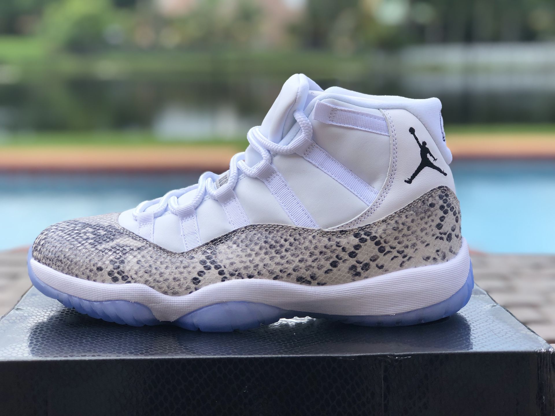 ovo jordan 11 snakeskin
