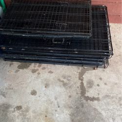 Dog Cage