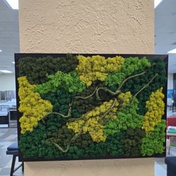 BRAND NEW 
Moss Wall decor Real Preserved Moss No Maintenance Required Eco Natural Green Wall Art Moss Frame Living Plants Vertical Garden 19.7 x13.8i