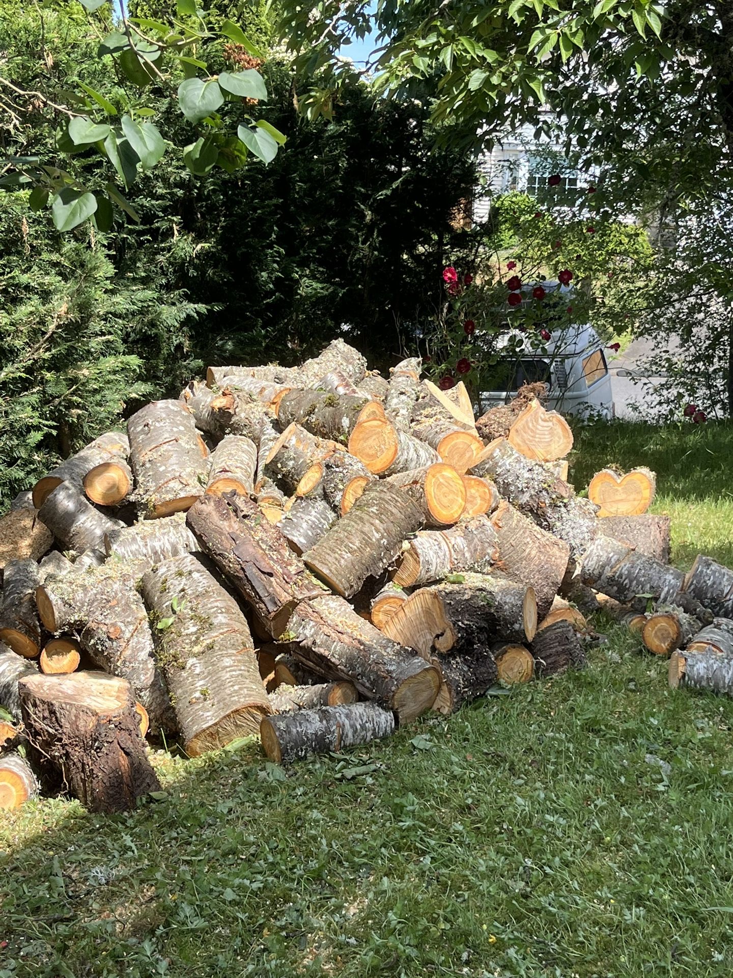 Cherry Firewood!!!