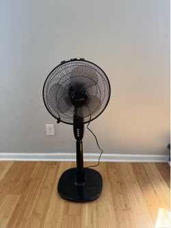 Abanico de pedestal 16”