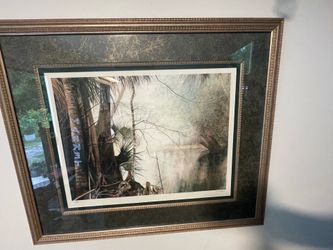 Trees and misty lake - limited edition framed art