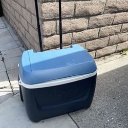 Igloo Cooler 