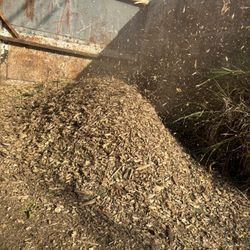 Free Wood Chips