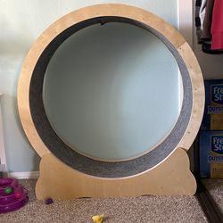 Cat exercise wheel