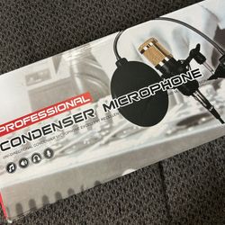 Professional Microphone 
