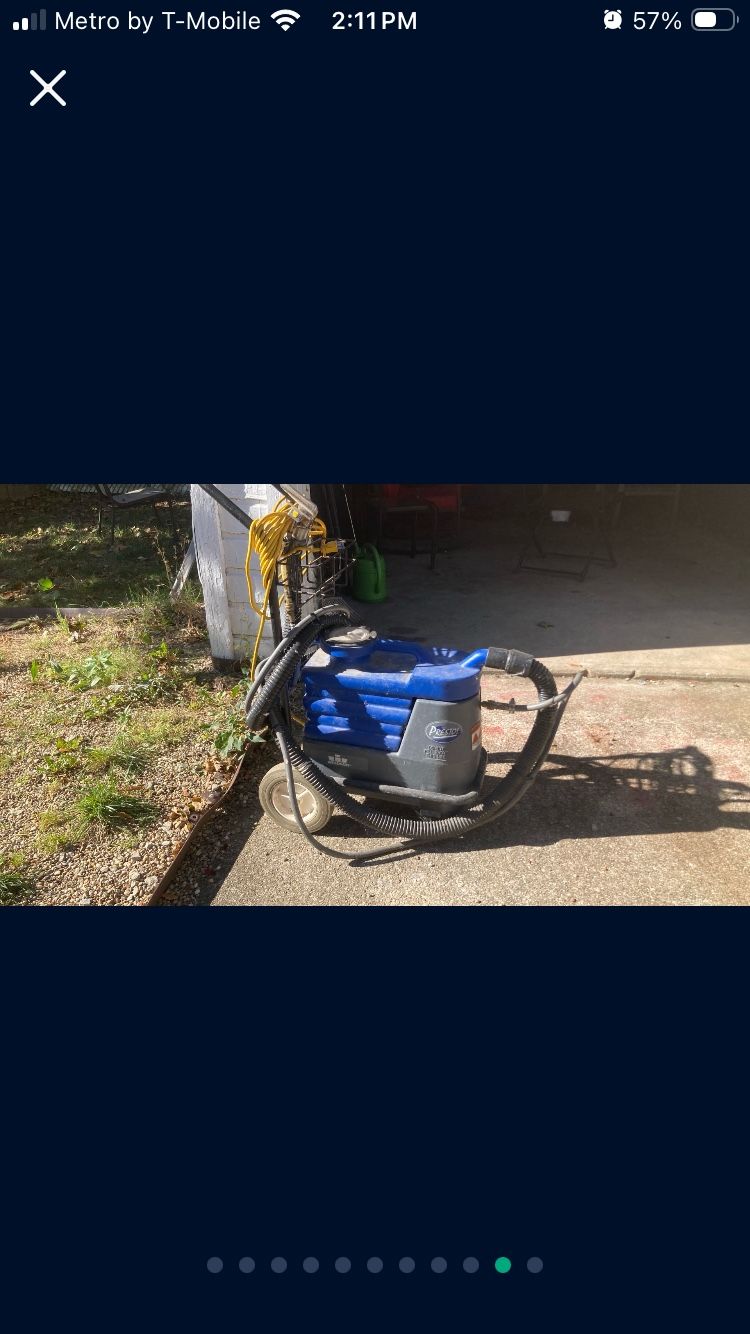 Professional Carpet Cleaner