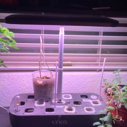 Yko Plant Led Incubator 