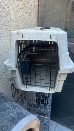 Pet Carrier