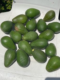 6 medium avocados
