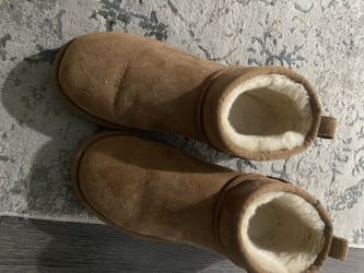 Mini Low Uggs